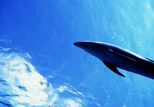 金沢区ってどんなところ？特徴、名所や祭りなどの観光スポットをご紹介！