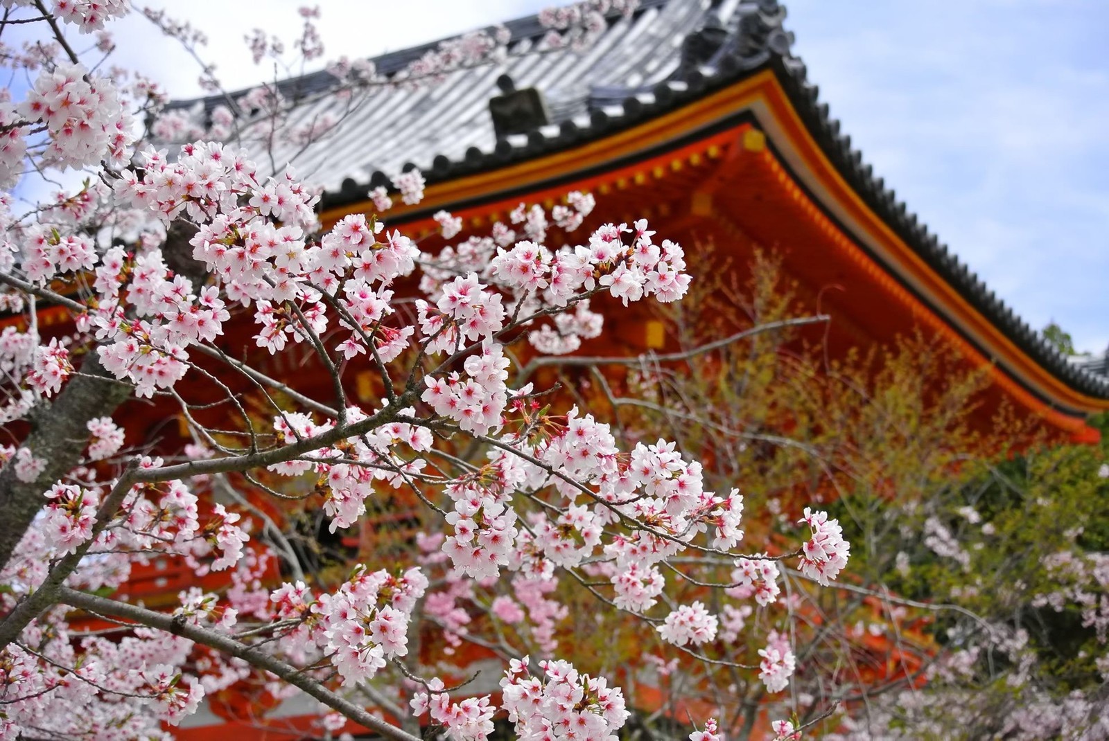 京都の一人旅でおすすめグルメ28選！人気のスイーツやディナーをご紹介！
