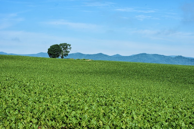 関東の人気絶景スポット21選!人気の観光スポットから秘境までご紹介!