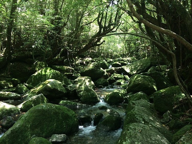 九州の絶景スポット18選！旅行で行きたい雄大な自然の景色をご紹介！