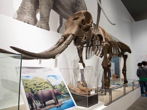 みえむ（三重総合博物館）とは？見どころや展示内容、料金など基本情報をご紹介！