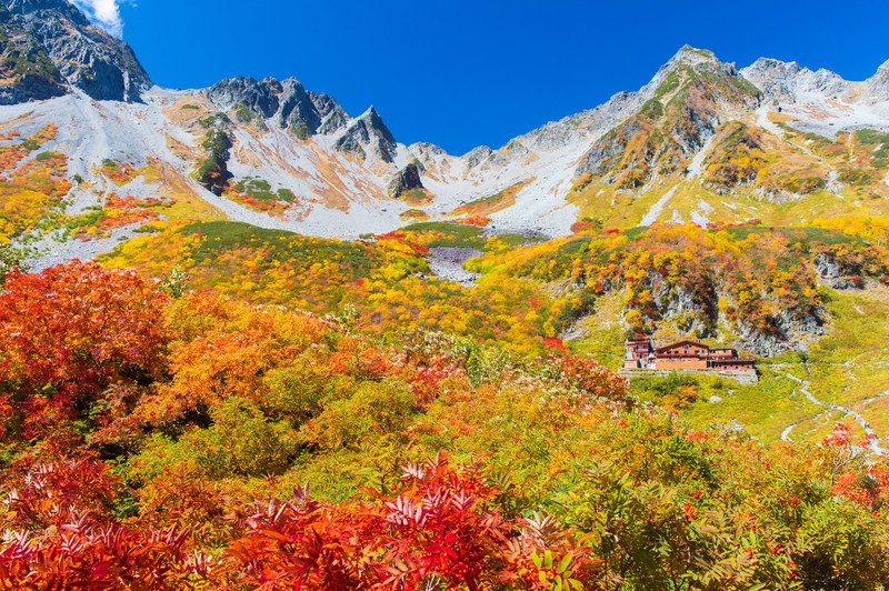 旅行予約サイトはどこがおすすめ?ホテルやツアーの予約サイトを解説!のイメージ