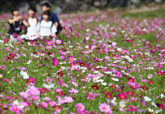 愛知の人気お出かけスポット12選！大人も子供も楽しい定番をご紹介！