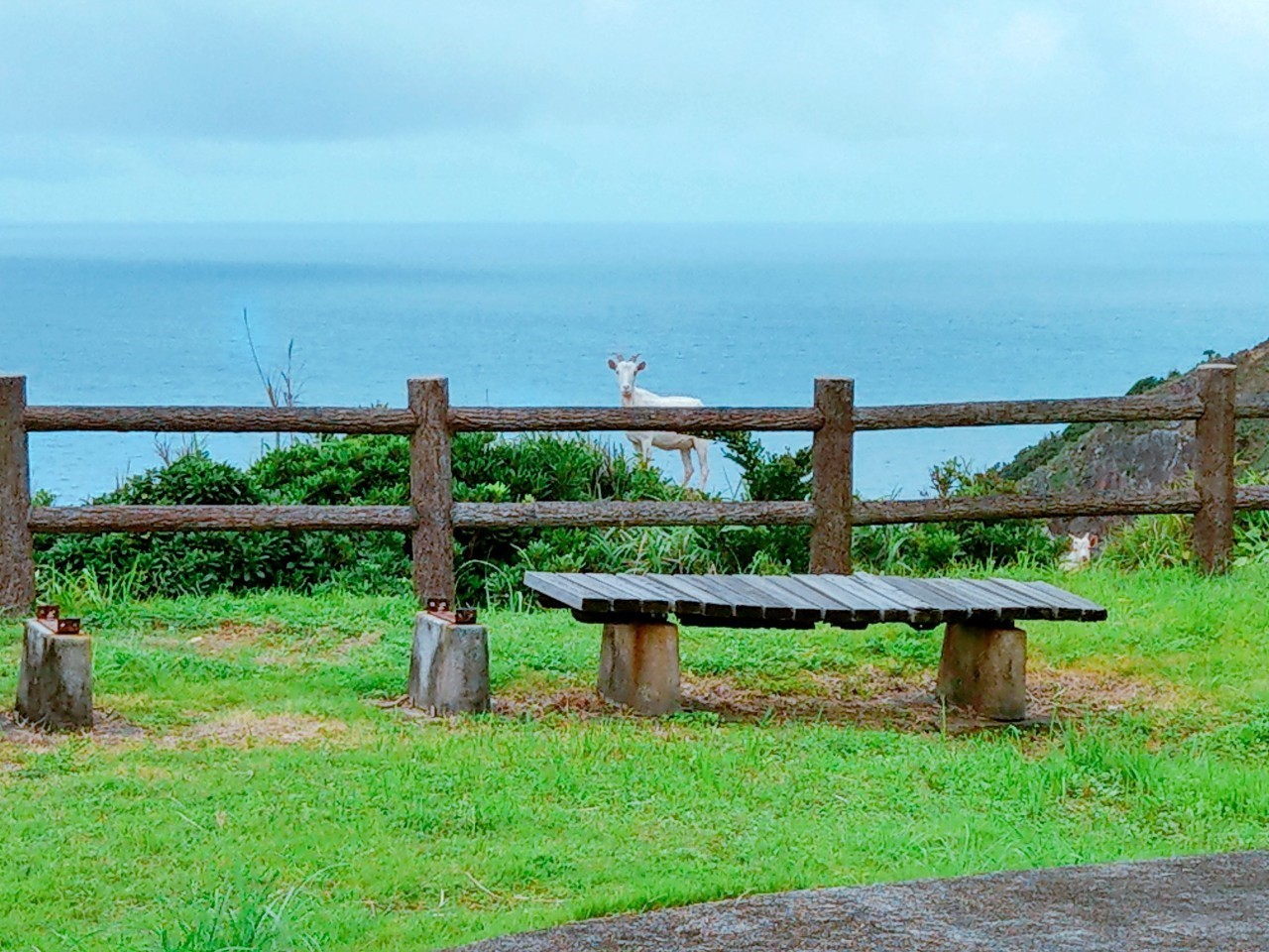 奄美大島に初めて旅行に行くならこう周る！見どころや楽しみ方をご紹介！