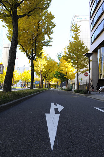 愛知のドライブデートコース3選！観光も出来て楽しいプランをご紹介！