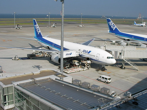 国内線のチェックイン時間の締切は?空港への到着時間のおすすめをご紹介!