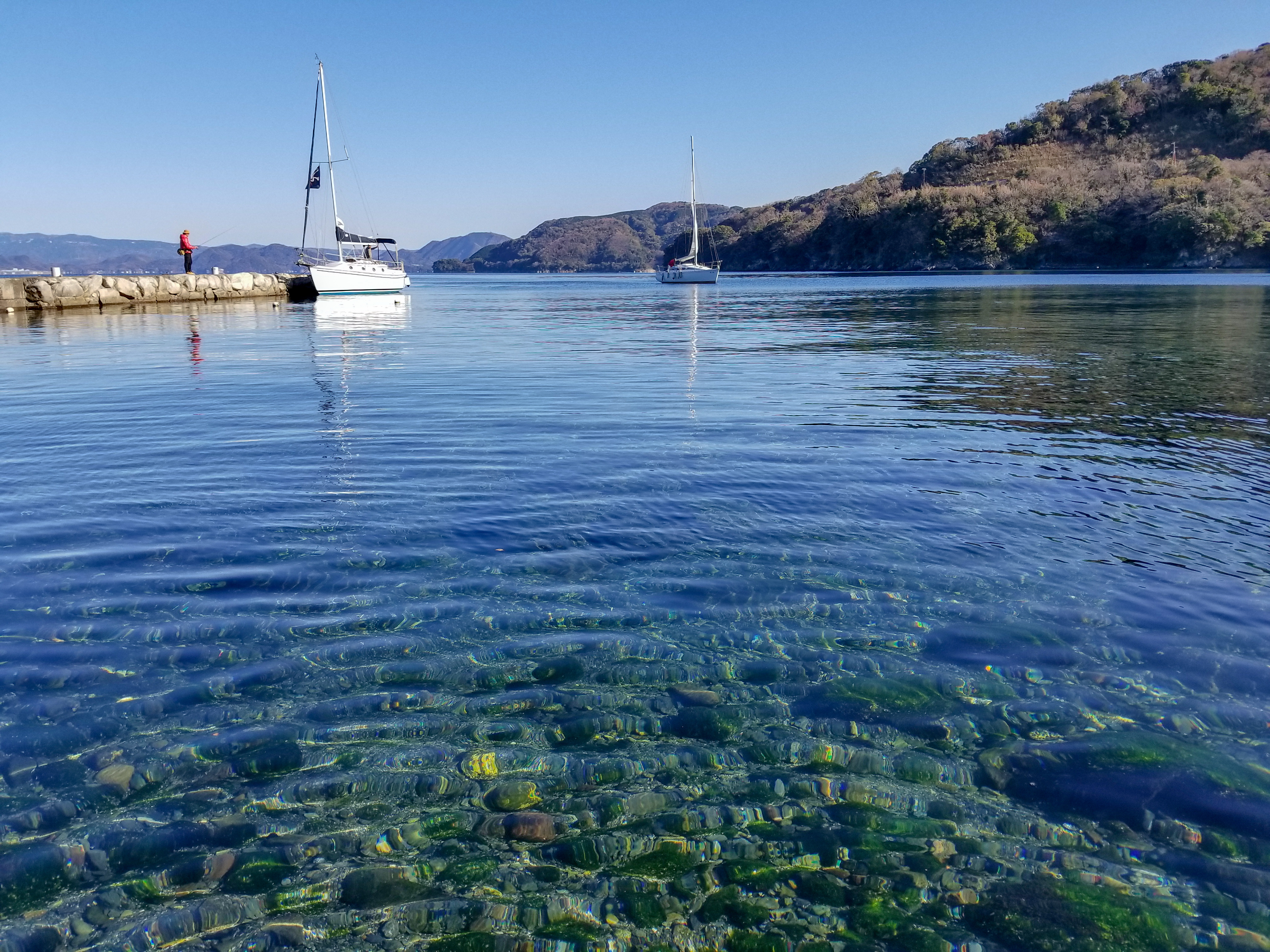 大瀬崎ってどんなところ？ダイビングや神社が有名な伊豆のスポットを解説！