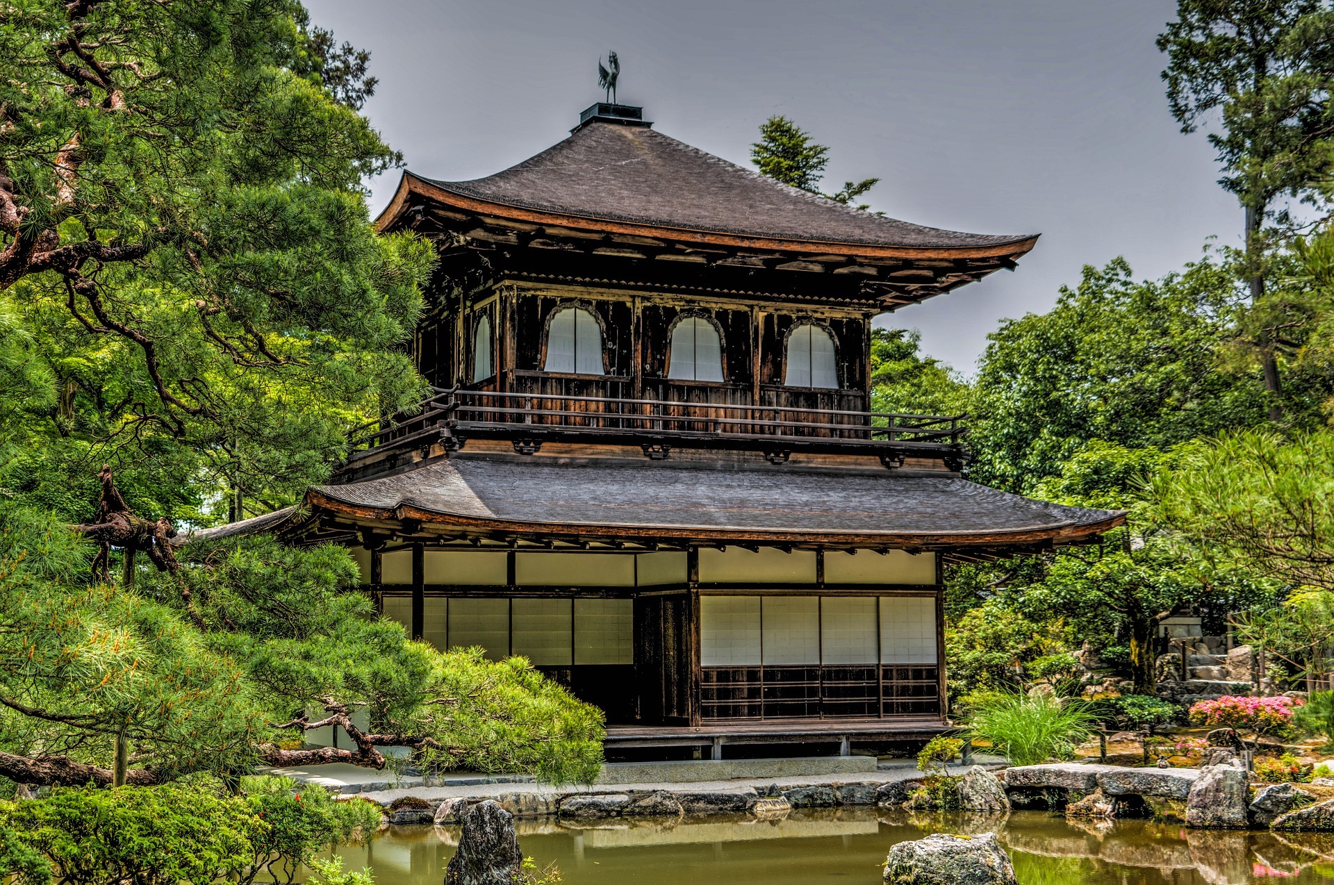 京都の蛍が見られるスポット11選！見頃の時期と人気＆穴場の鑑賞場所をご紹介！