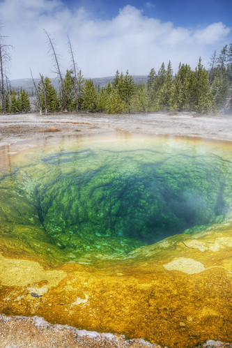 イエローストーン国立公園の見どころは？観光の楽しみ方をご紹介！