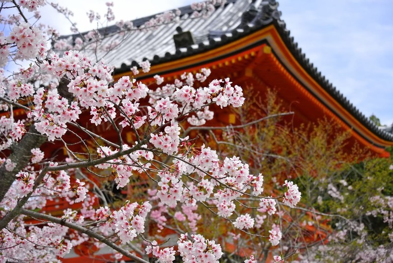 京都で遊ぶならココ！絶対楽しい人気のスポットをご紹介！