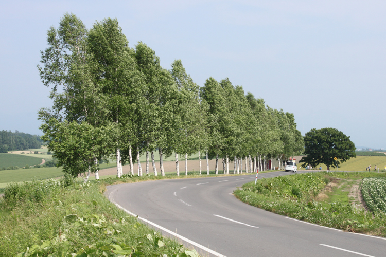 北海道の絶景ドライブスポットランキング7選!旅行の移動中も楽しめる!