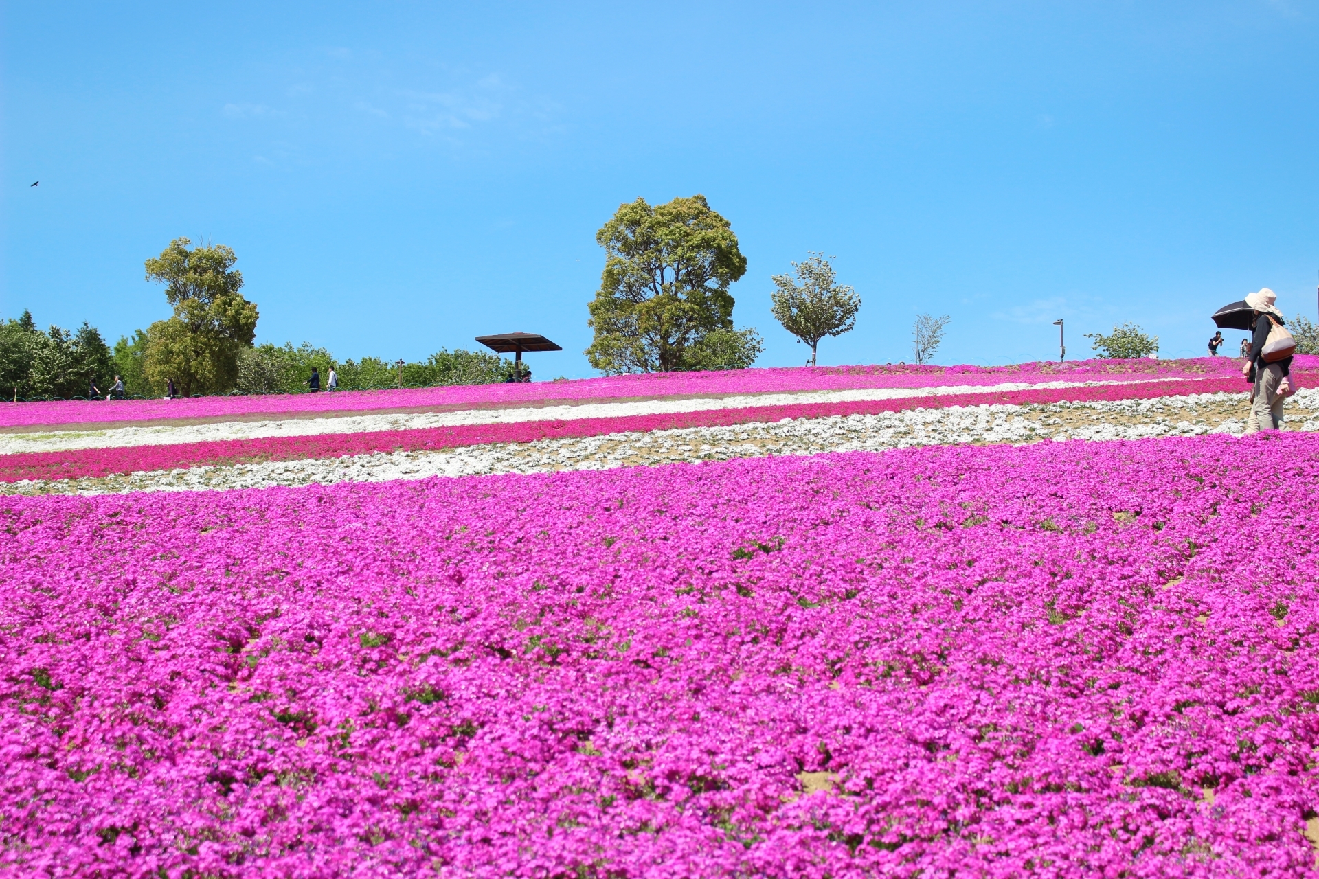 群馬の季節別おすすめデートスポット16選!カップルで楽しめる場所をご紹介!