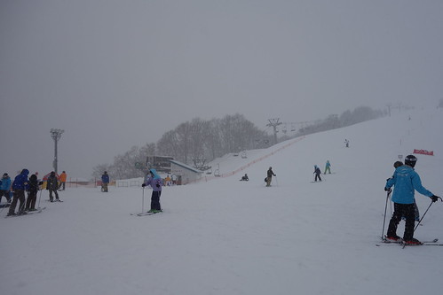 冬の新潟観光スポットおすすめ20選!人気の名所や穴場のスポットをご紹介!