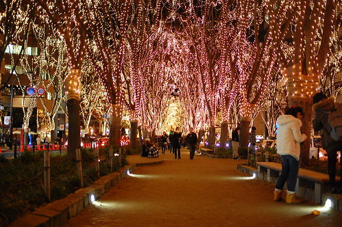 冬の仙台でおすすめの観光プランは？日数別の満喫プランをご紹介！