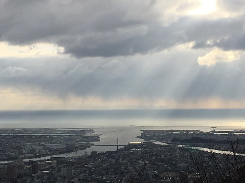 冬の和歌山観光コース4選!人気のスポットを回るプランをご紹介!