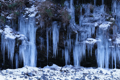 冬の埼玉観光おすすめスポット9選!癒しスポットや穴場の見どころを解説!