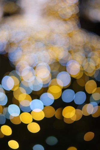 冬の埼玉観光で行きたい絶景スポット6選！人気＆癒しスポットをご紹介！