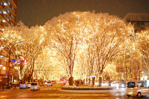 冬の宮城観光の魅力は？冬ならではの人気の名所や観光地をご紹介！