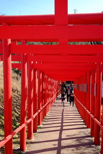 冬の山口観光地ランキング12！人気の名所やおすすめスポットをご紹介！