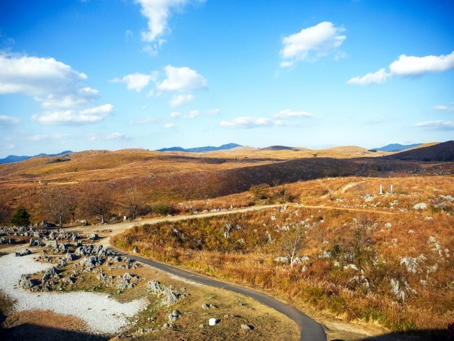 冬の山口観光でおすすめしたいグルメや観光地をご紹介!”冬ならでは”を楽しもう!
