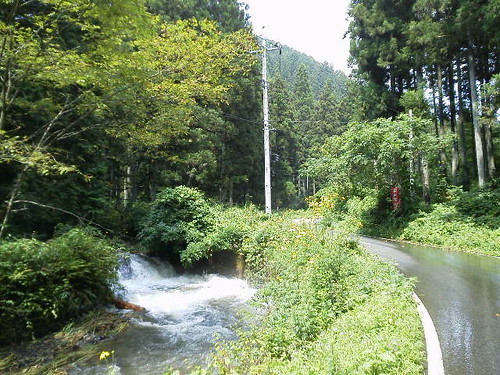 冬の栃木で外せない自然の魅力を感じるスポットをご紹介！