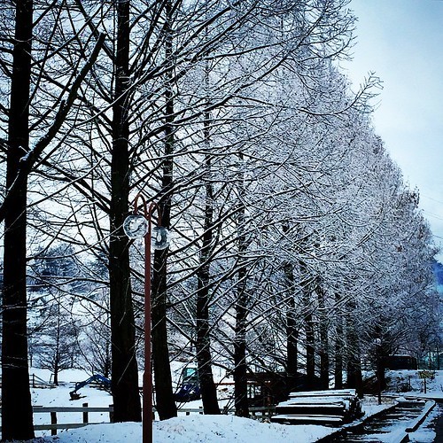 冬の滋賀のデートスポットといえば?おすすめの観光名所や見どころをご紹介!