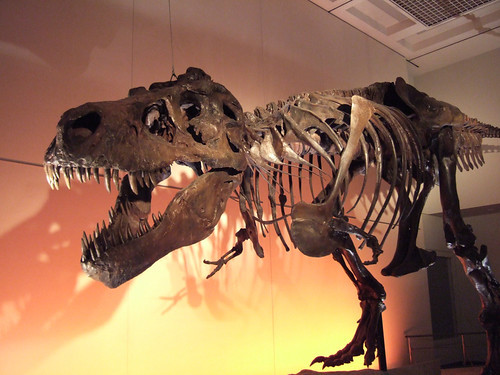 冬に行きたい福井のデート！人気観光地やおしゃれスポットをご紹介！