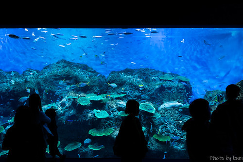 冬の茨城を楽しみ尽くす観光スポット9選!人気の名所や観光地をご紹介!