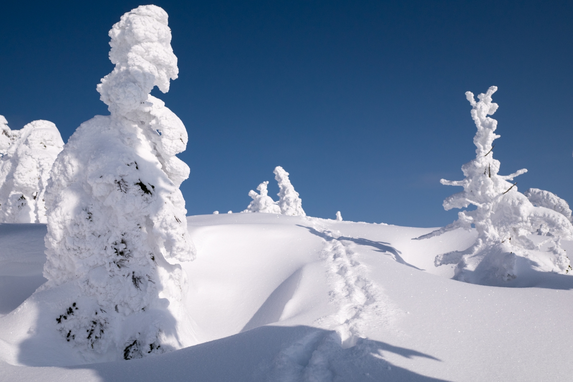冬の青森観光はこう回る！おすすめのプランをテーマごとにご紹介！のイメージ