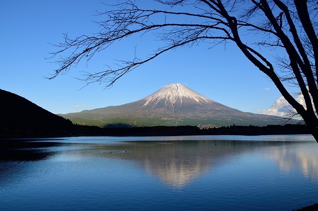 冬の静岡観光で行きたいおすすめスポット11選！人気の楽しい見どころをご紹介！
