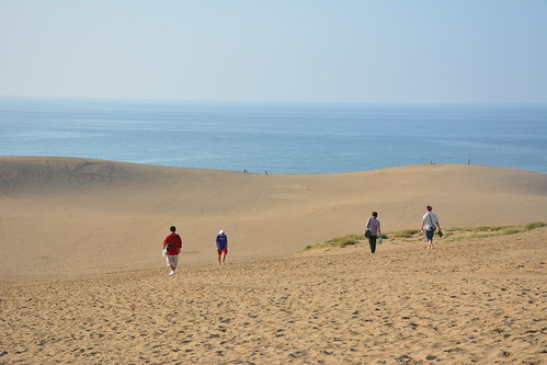 冬の鳥取の魅力は?鳥取砂丘や観光地の冬ならではの見どころをご紹介!