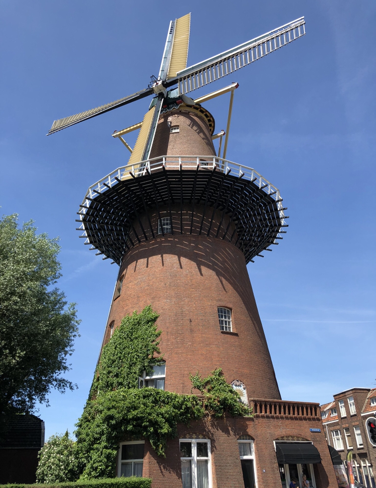 オランダ移住の方法は?移住のメリット・デメリットもご紹介!