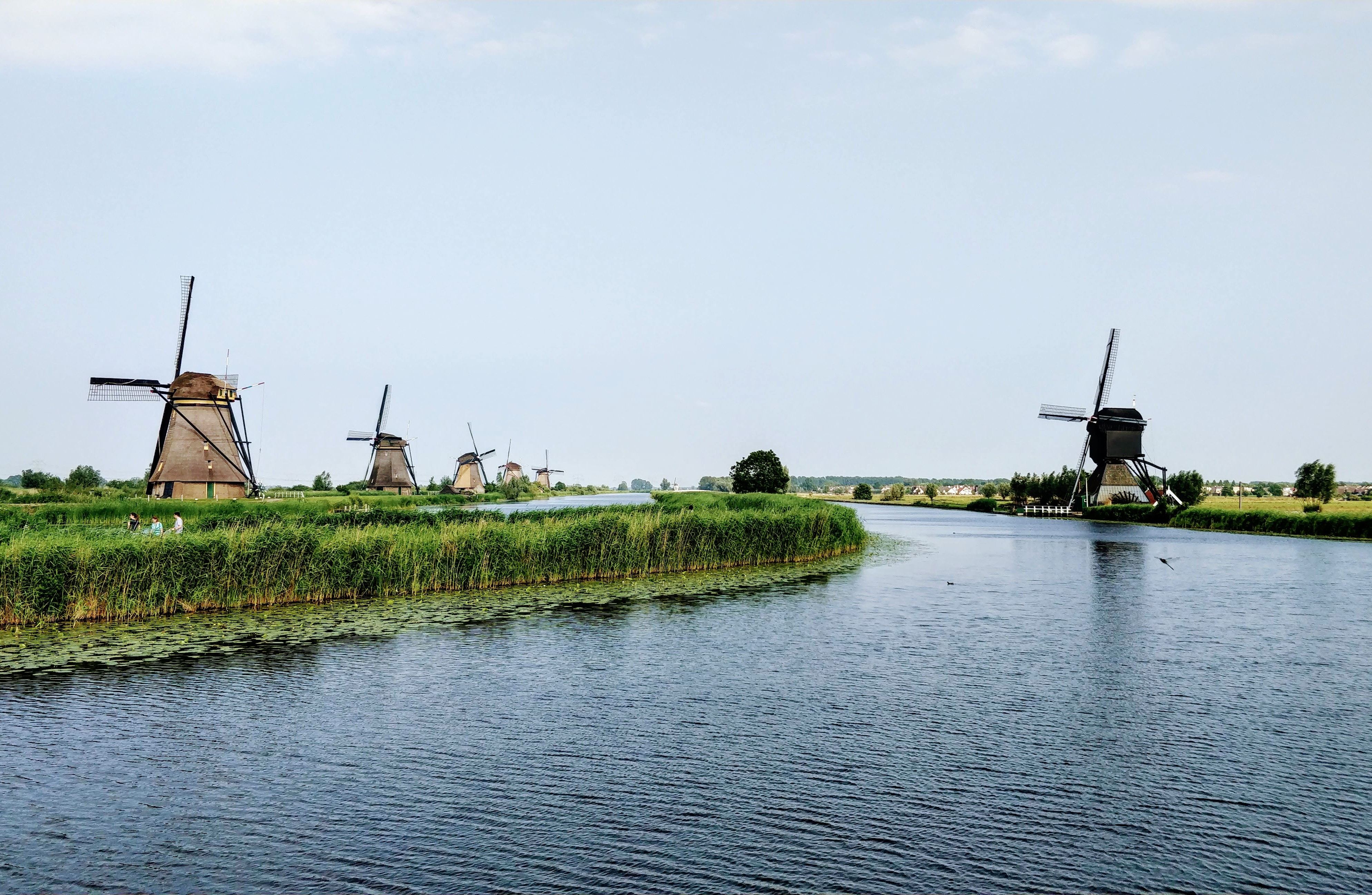 オランダ移住の条件や移住にかかる費用を解説!