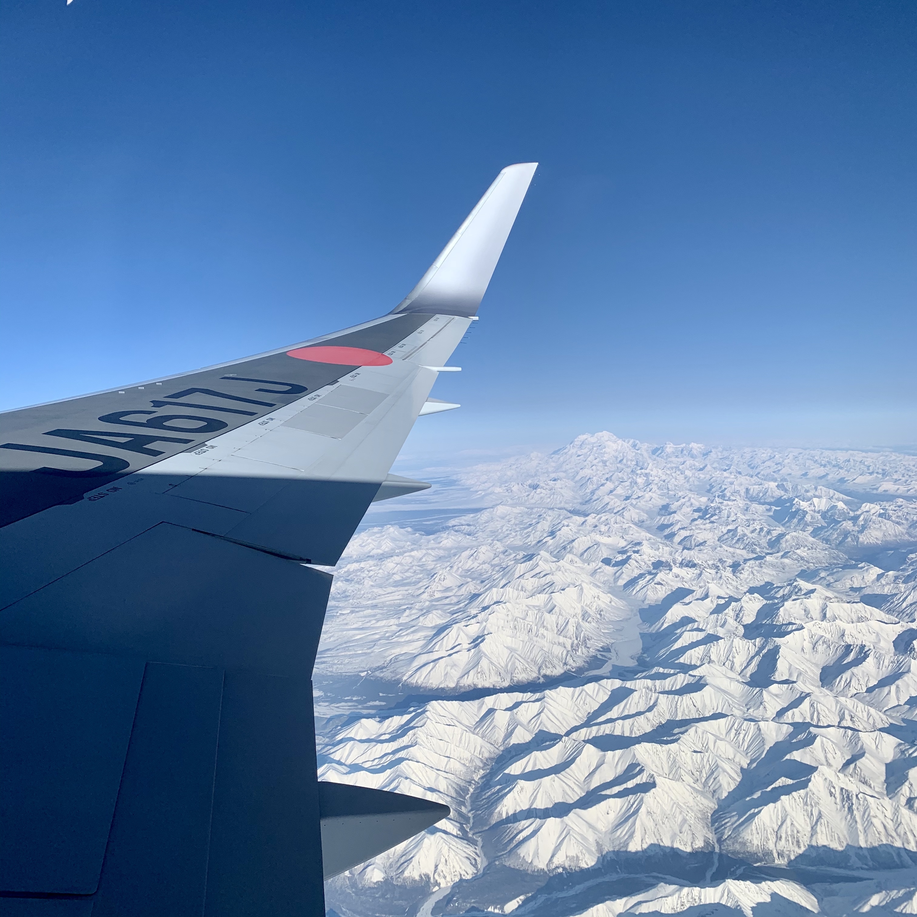 JALのビジネスクラスは何が違う？サービスや航空運賃など特徴を解説！