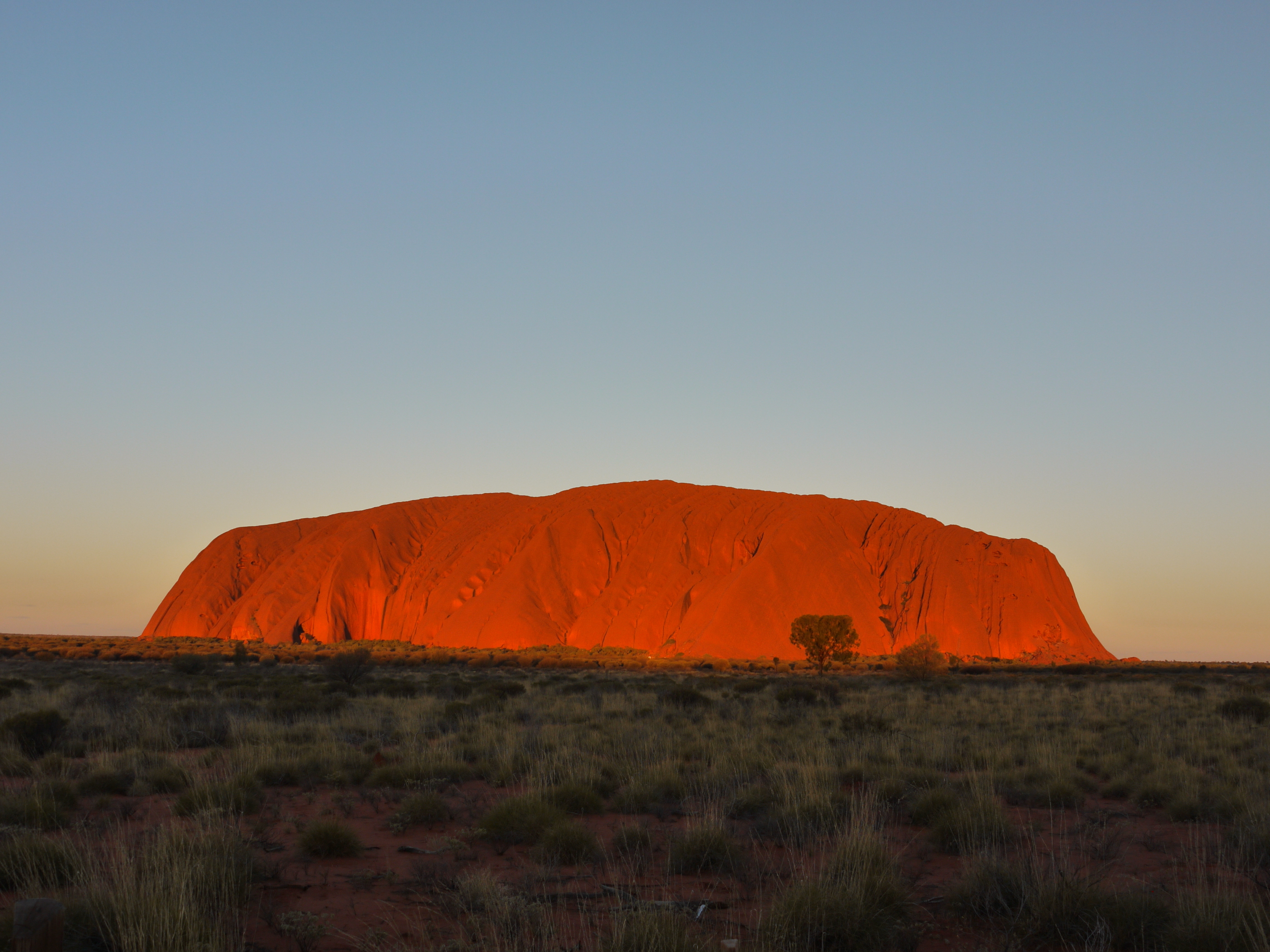 オーストラリアの都市ごとの観光情報をご紹介！特徴や見どころは？