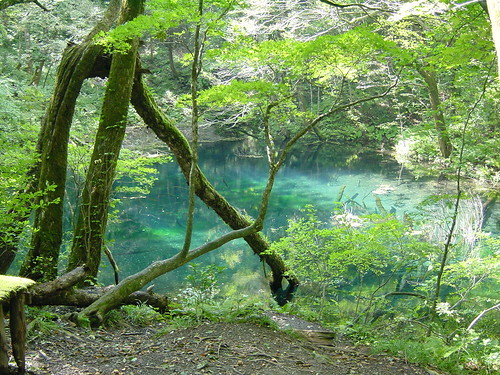 東北旅行で見逃せない人気温泉12選！おすすめの人気観光地をご紹介！