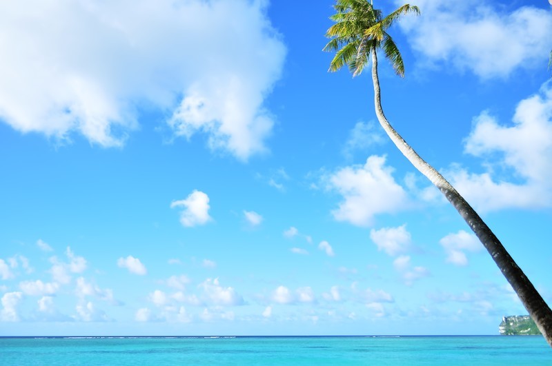 TheBusを活用してハワイを見て回ろう！バスの乗り方や料金などをご紹介！