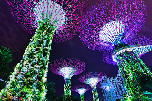 ガーデンズ・バイ・ザ・ベイのショーがスゴイ！夜の植物園の楽しみ方をご紹介！