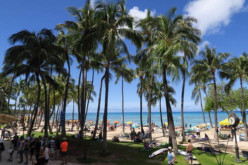 ハワイのおしゃれかわいいお店「ナイア」をご紹介！