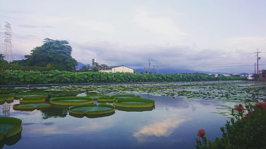 台南で食べたい有名グルメ20選！おすすめの名物をご紹介！