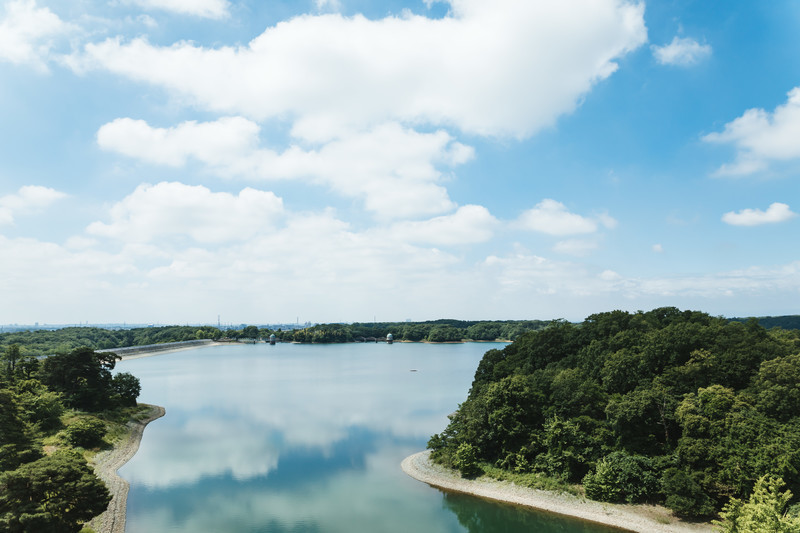 多摩湖の成り立ち＆周辺の見どころをご紹介！今と昔でどう変わった？
