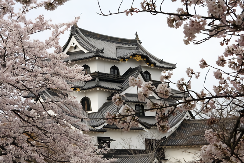 春を満喫!3月におすすめの人気旅行先30選!国内旅行で迷ったら要チェック!