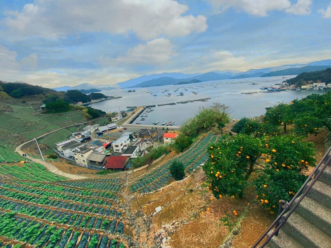 愛媛県の面積は全国何位？県内の市区町村面積ランキングもご紹介！