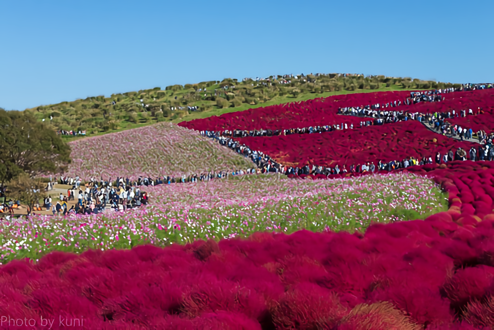 茨城県の面積は全国何位？県内の市区町村面積ランキングもご紹介！