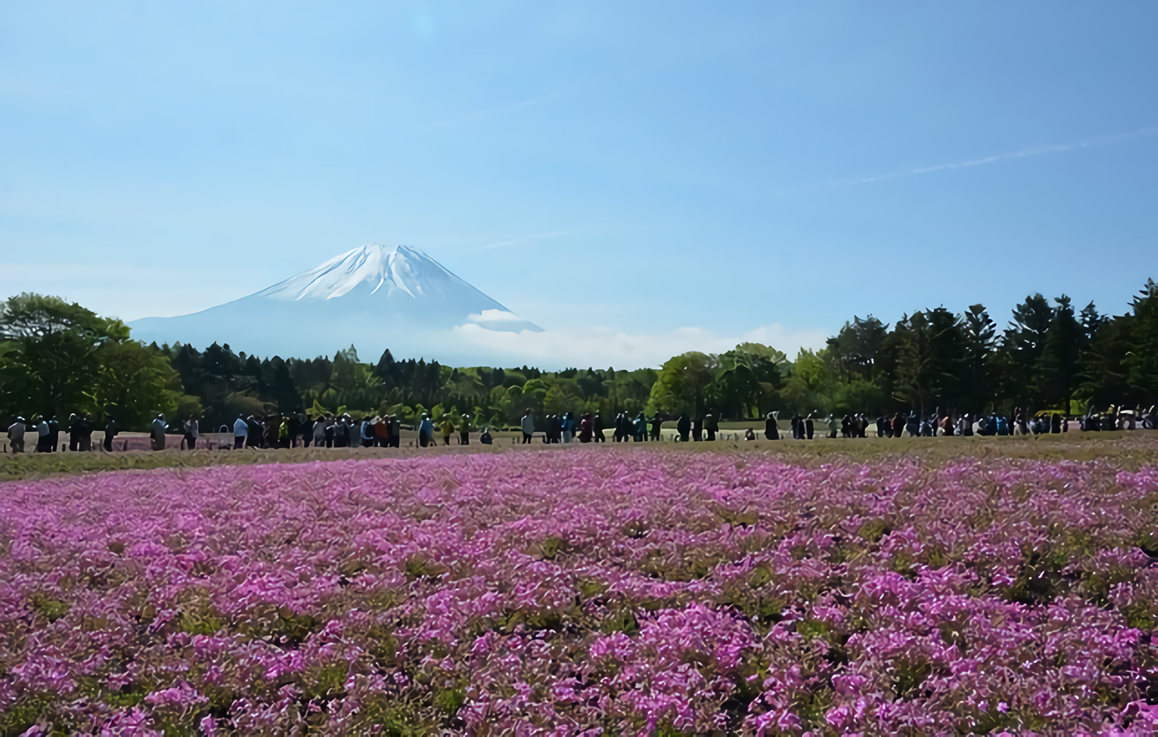 山梨県の面積は全国何位?県内の市区町村面積ランキングもご紹介!