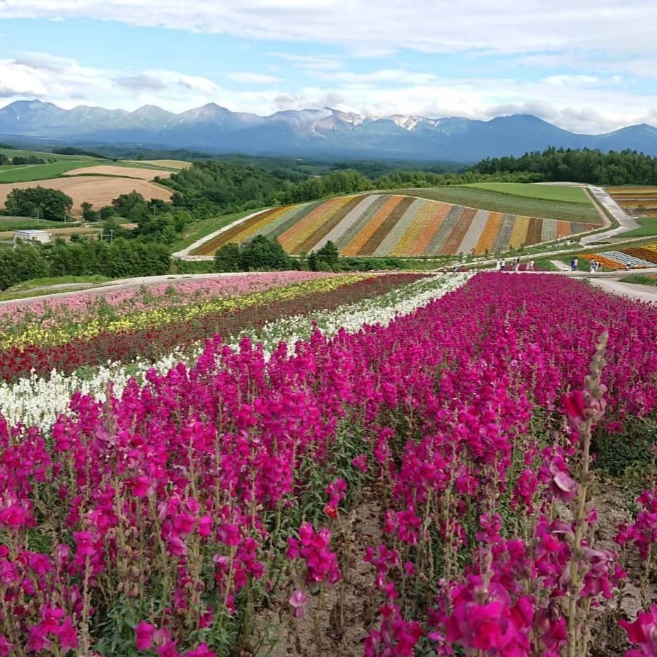 北海道はでっかいどう!広大な大地の大きさをわかりやすく比較解説!
