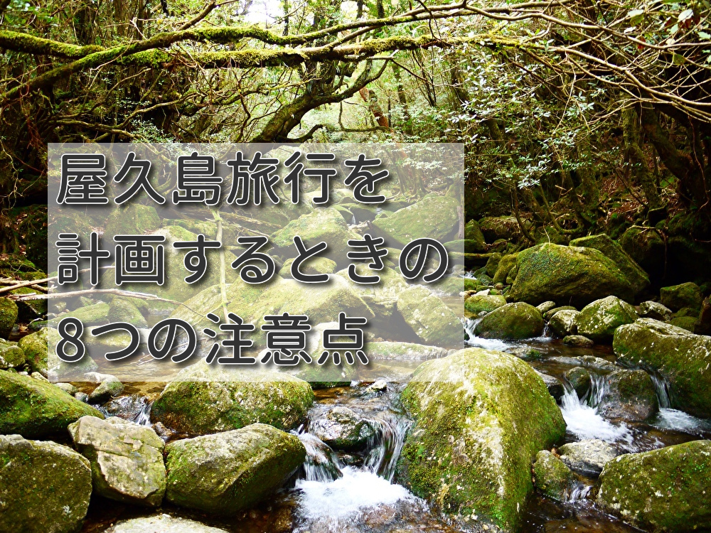 屋久島旅行を計画するときの注意点は？おすすめの季節などもご紹介！