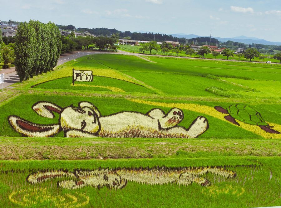 福島県の大きさはどのくらい?面積・人口・人口密度を比較解説!