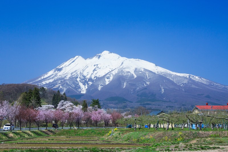 青森県の大きさはどのくらい?面積・人口・人口密度を比較解説!