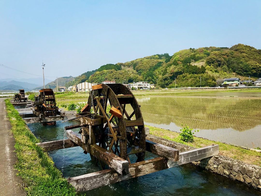 四万十川周辺の観光スポットといえば?おすすめの名物グルメやレジャーをご紹介!